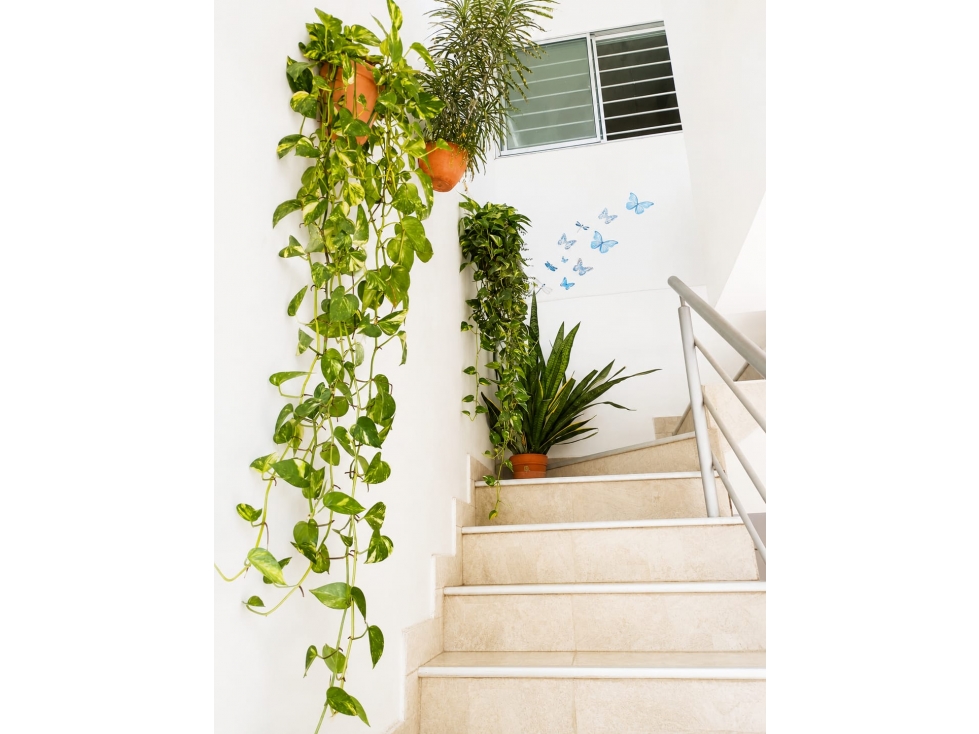 APARTAMENTO BIFAMILIAR EN VENTA EN MONTEVERDE - MONTERIA — foto 2