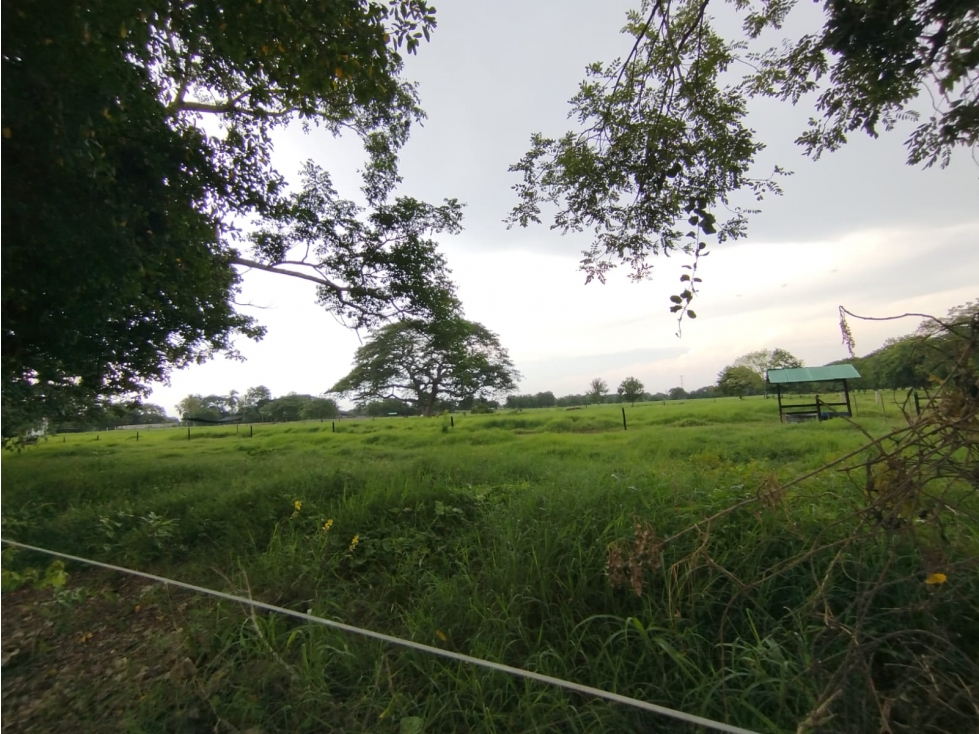 PROYECTO DE LOTES CAMPESTRES DE 1000 M2 VIA SABANAL - MONTERIA — foto 2
