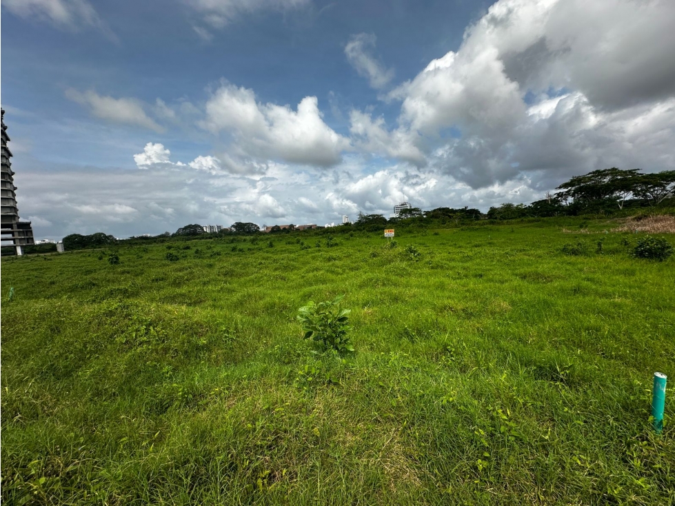 LOTES EN VENTA CASTELLANA MONTERIA — foto 6
