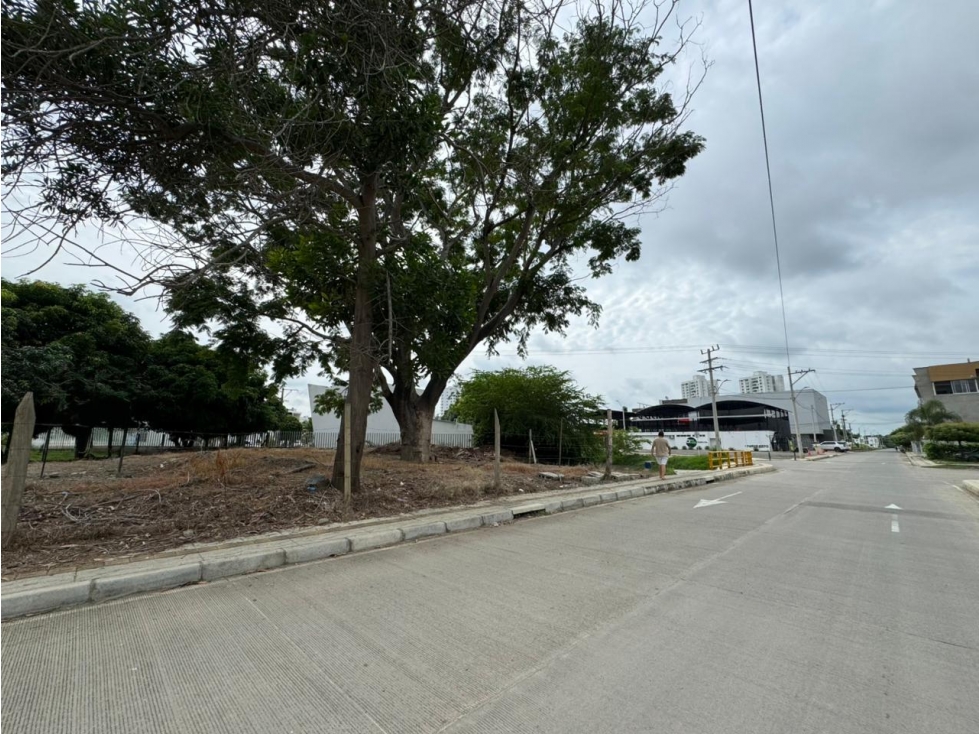 SE VENDE LOTE ESQUINERO EN EL BARRIO MONTE VERDE - MOMTERIA — foto 5