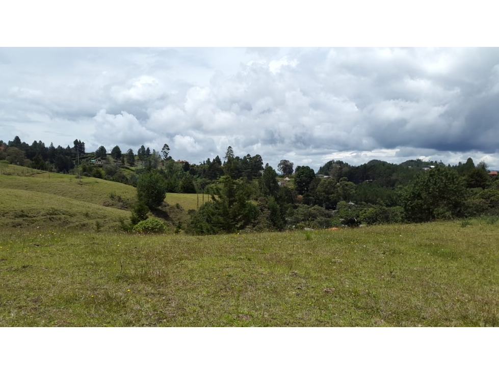 Venta Lote COMERCIAL sobre Vía Las Palmas El Retiro — foto 2