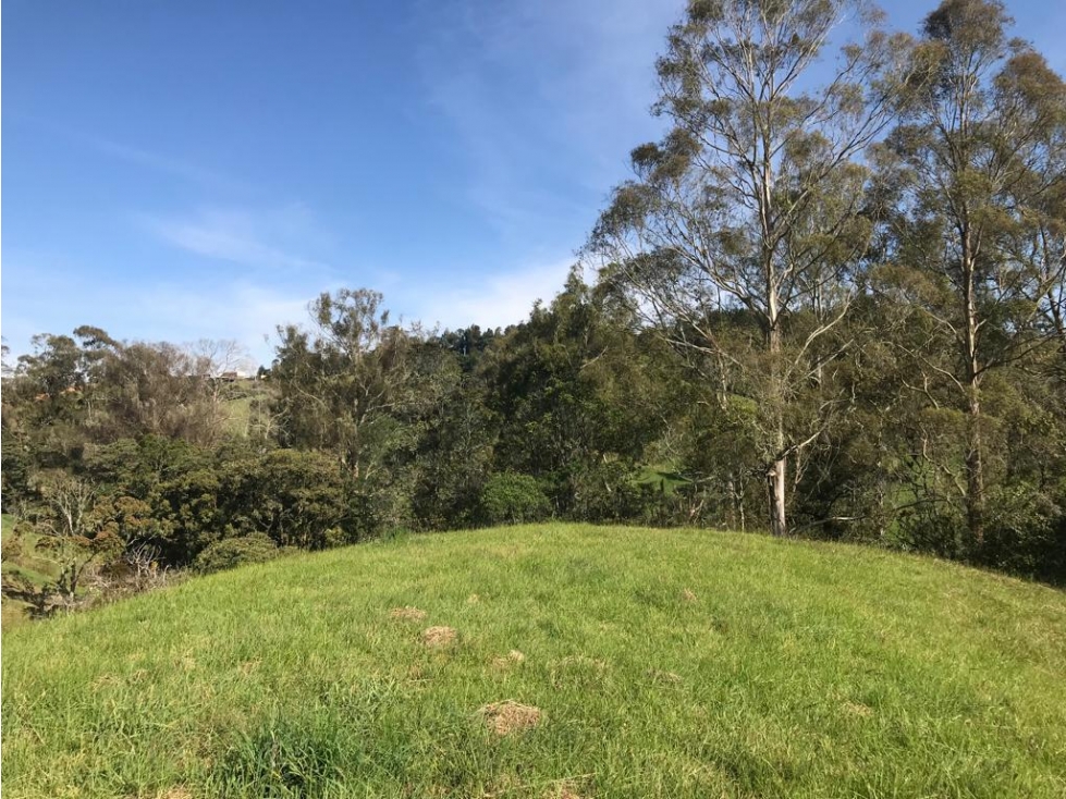Venta Lote Alto de las Palmas en BALMORAL Unidad Completa — foto 3