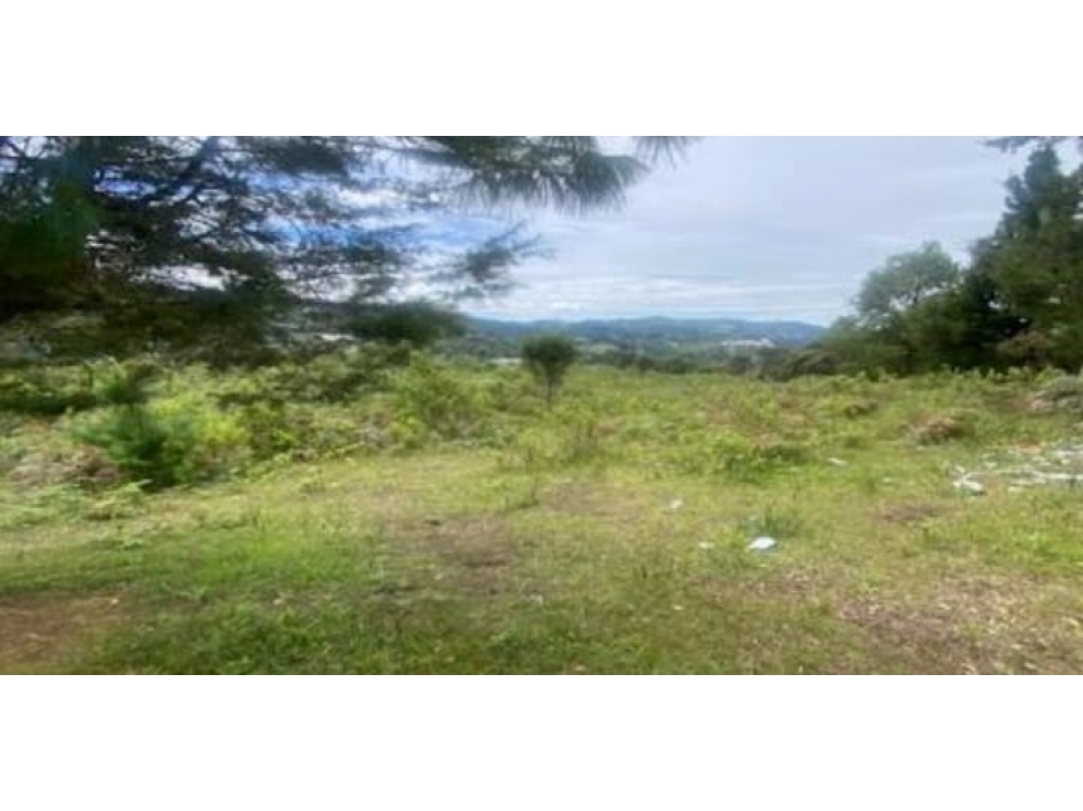 Venta Lote Guarne USO MIXTO con acceso sobre Autopista. MULTIFUNCIONAL — foto 2