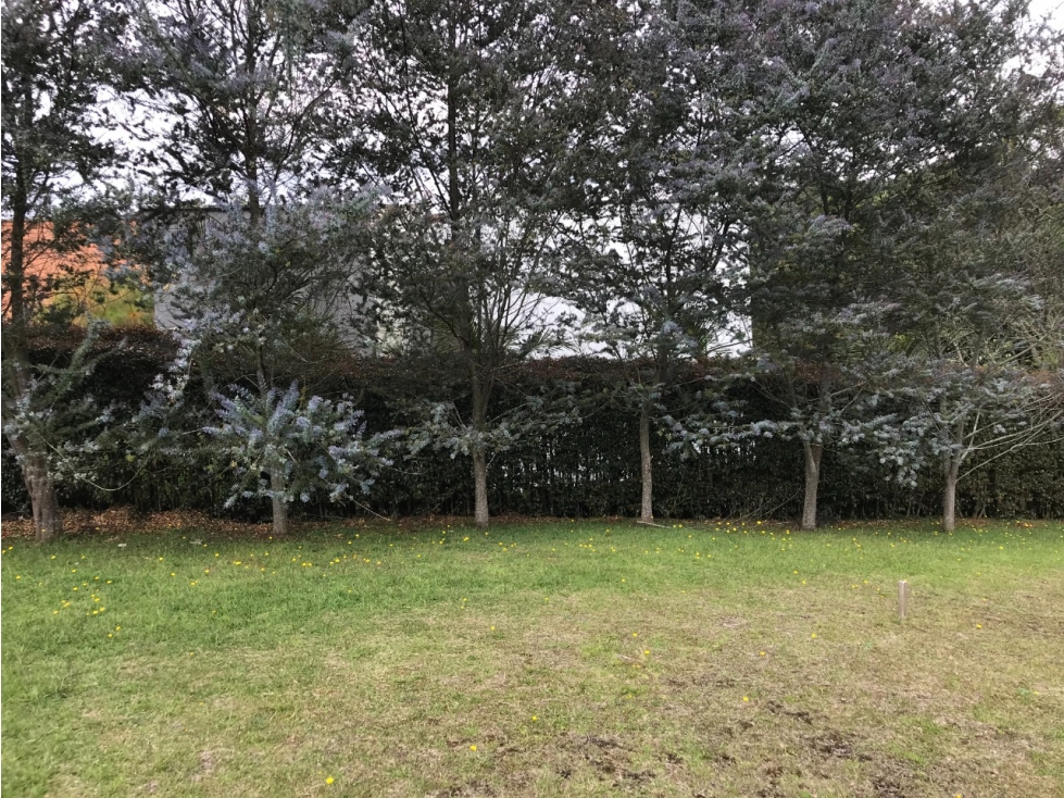 Venta Lote Alto de Las Palmas detras de Lemon en Parcelación — foto 6