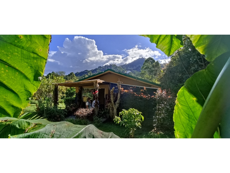 Venta Finca en Parcelación El Retiro FIZEBAD con Casa de Huéspedes — foto 4