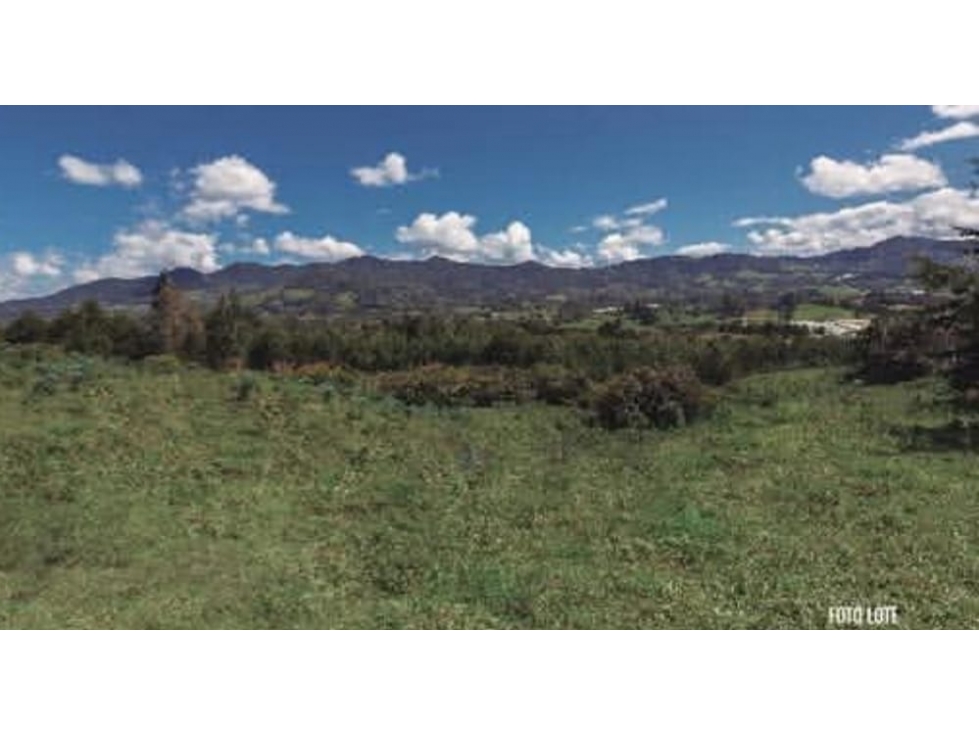 Venta Lote Parcelación MONTEMADERO Oportunidad Via La Ceja San Antonio — foto 3