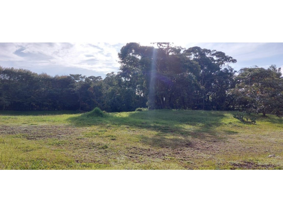 Venta Lote La Ceja - Hacienda El Capiro - 6