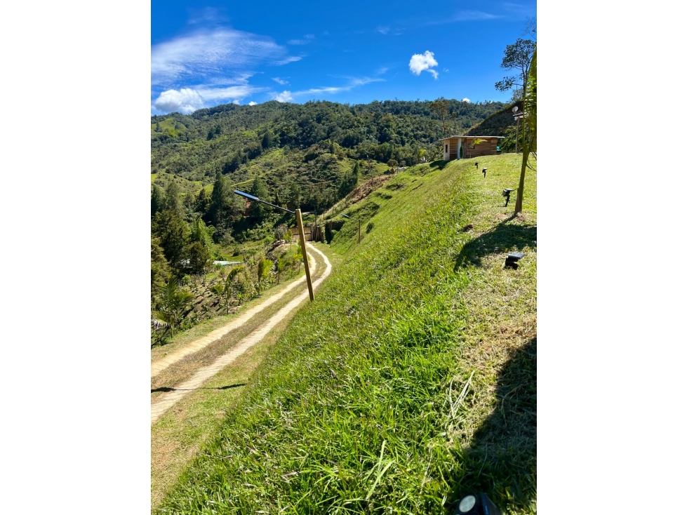 Venta Lote cerca Guatapé precio oportunidad y acceso pavimentado — foto 3