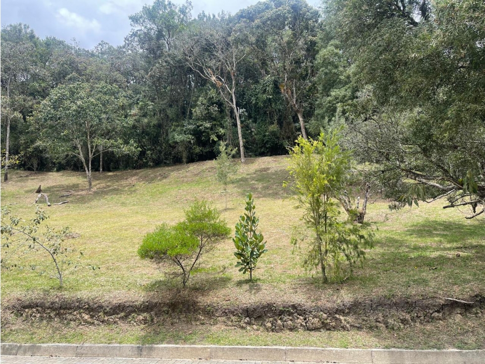 Venta Lote El Retiro vía La Ceja en Parcelación Montesereno