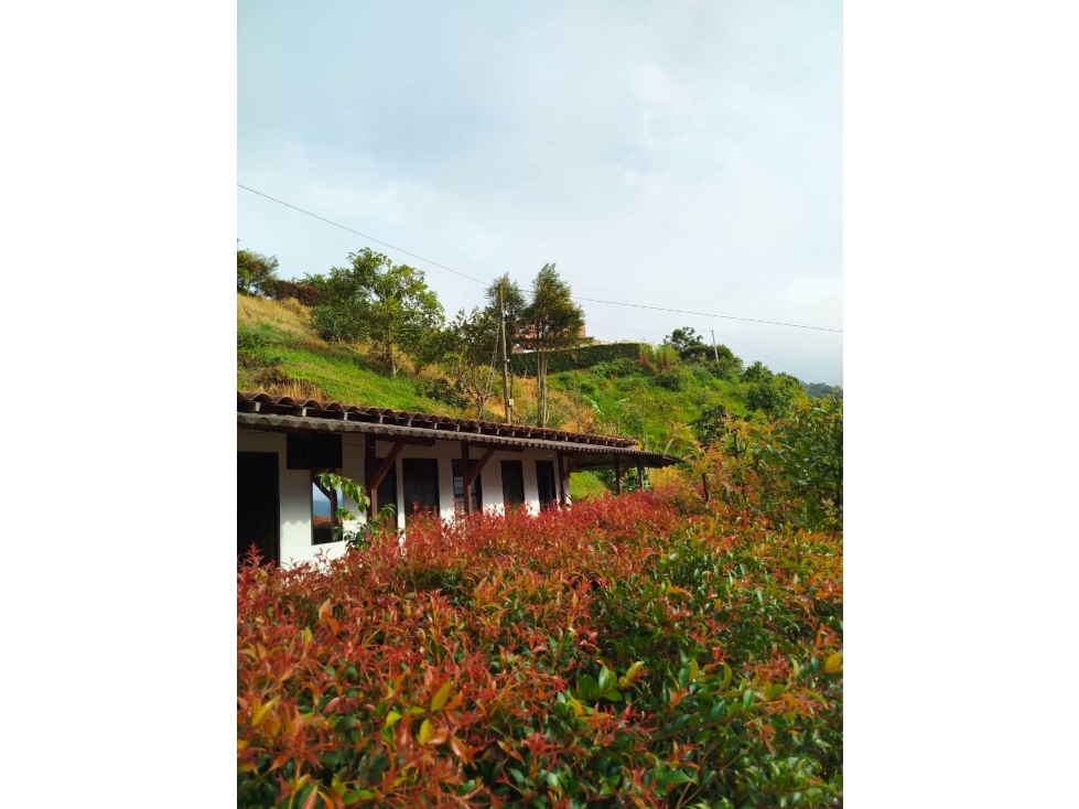 Venta Casa Finca Urrao 1 Hectárea a 20 min de Medellin en Avión - 4