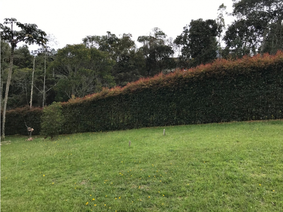 Venta Lote Alto de Las Palmas detras de Lemon en Parcelación — foto 4
