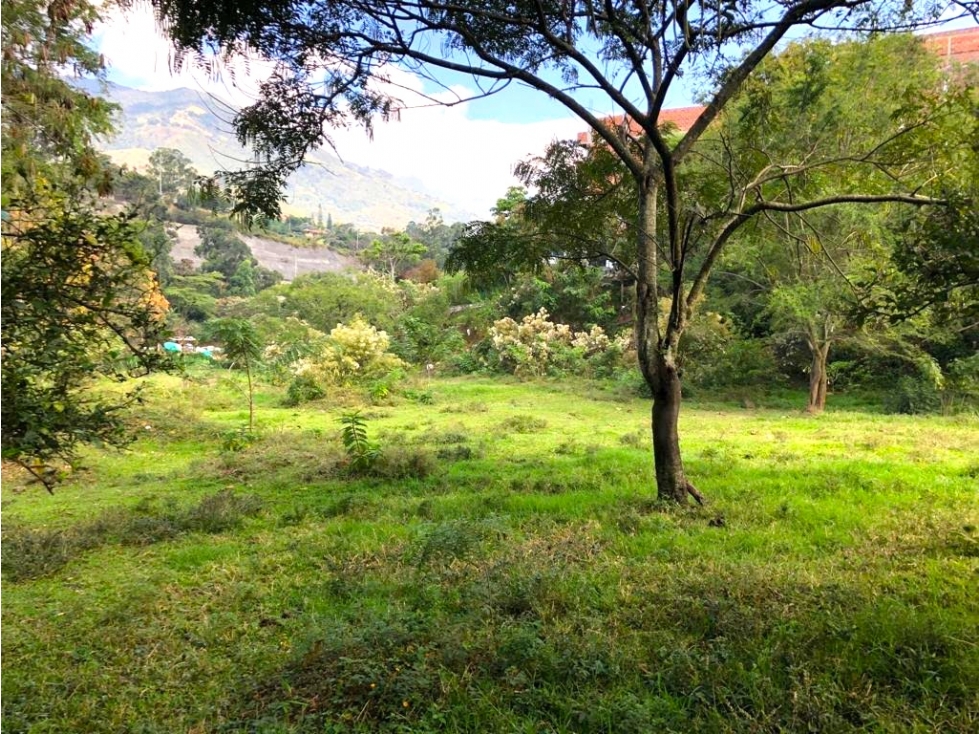 VENTA Lote COMERCIAL MIXTO Copacabana vía principal cerca D1 — foto 3