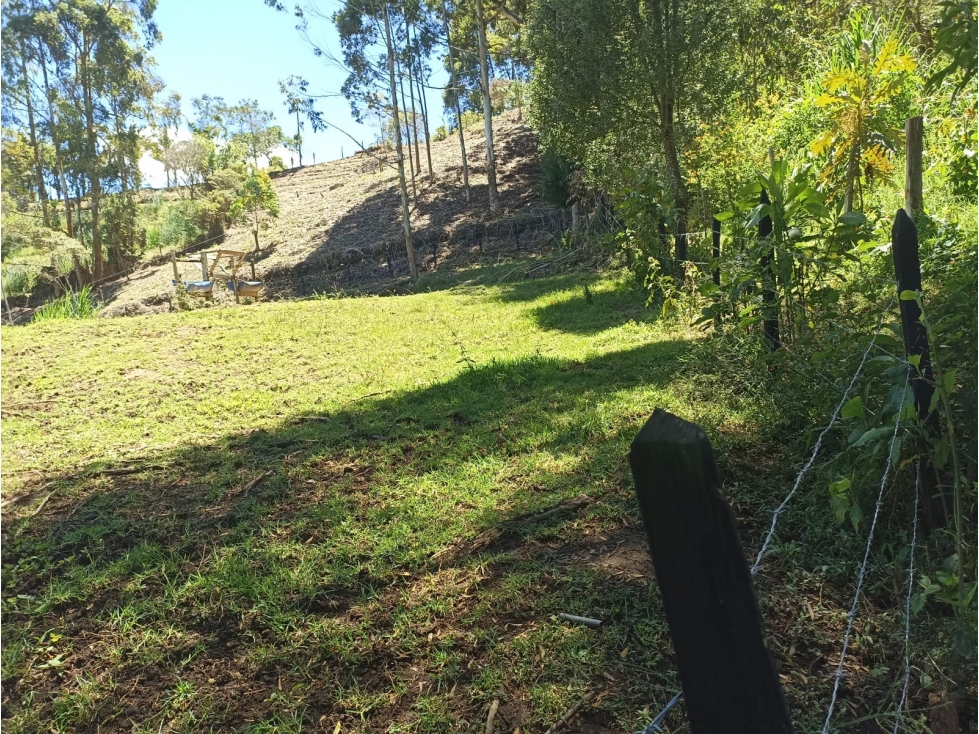 Venta Finca Productiva en Guarne con 3 lotes y quebrada natural — foto 5