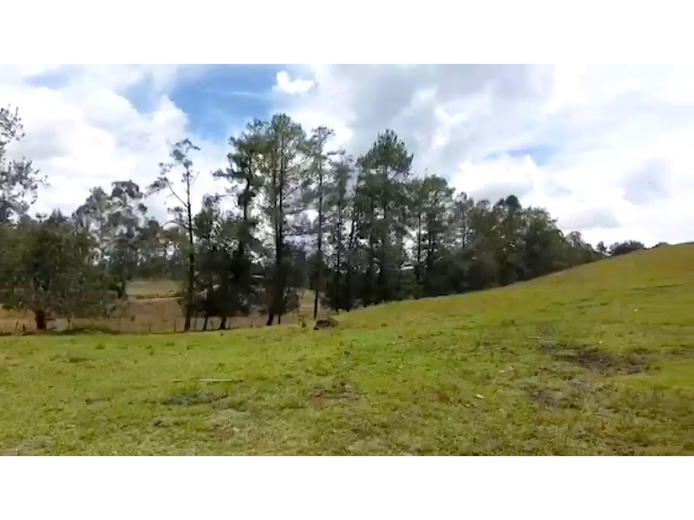 Venta Lote Llanogrande con vista panorámica y alta valorización — foto 2