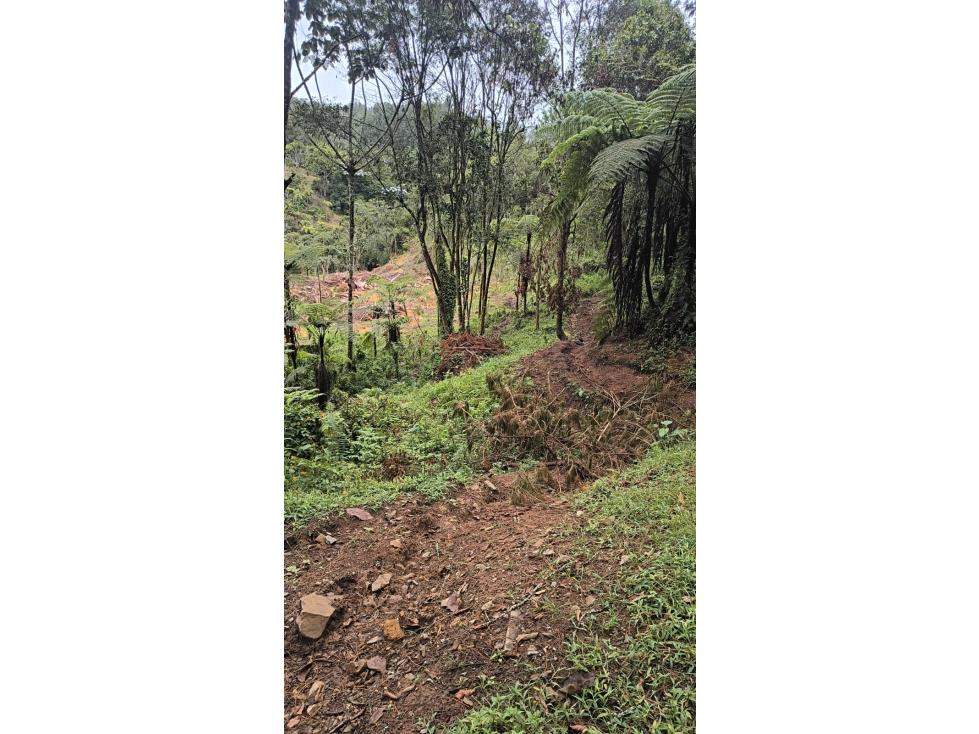 Venta HERMOSO Lote en El Retiro para 2 Casas en LAGOS DE PONTEZUELA — foto 2