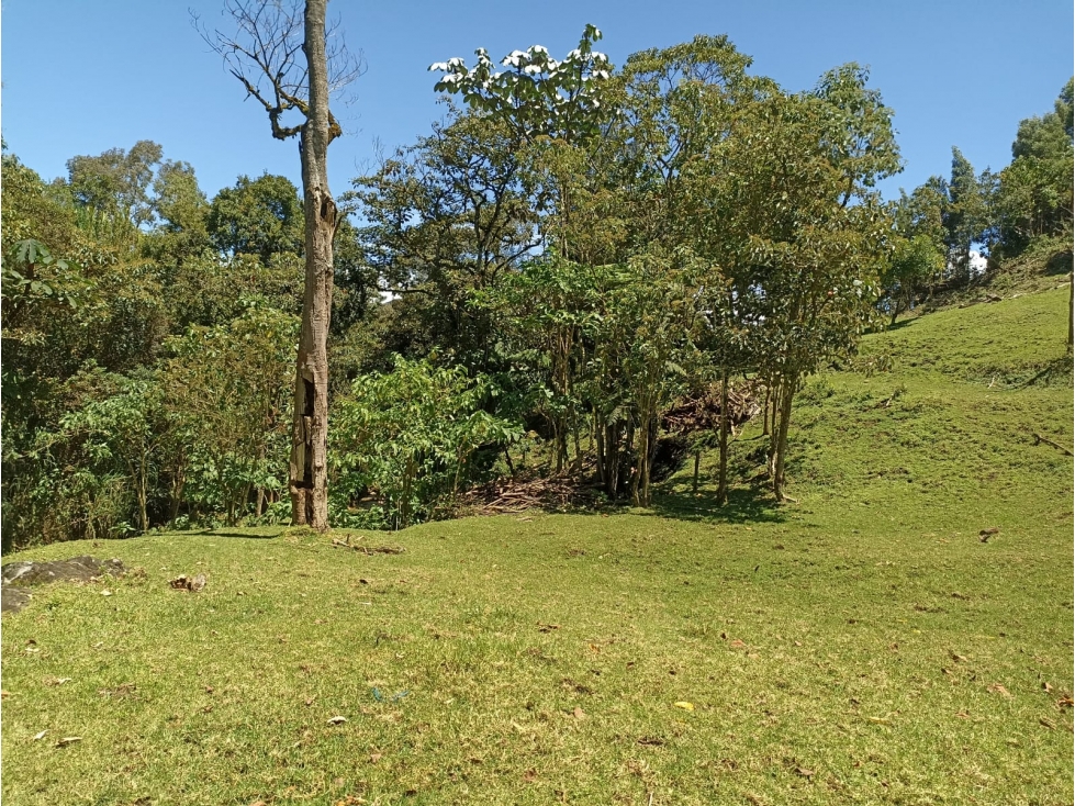 Venta Finca Productiva en Guarne con 3 lotes y quebrada natural — foto 4