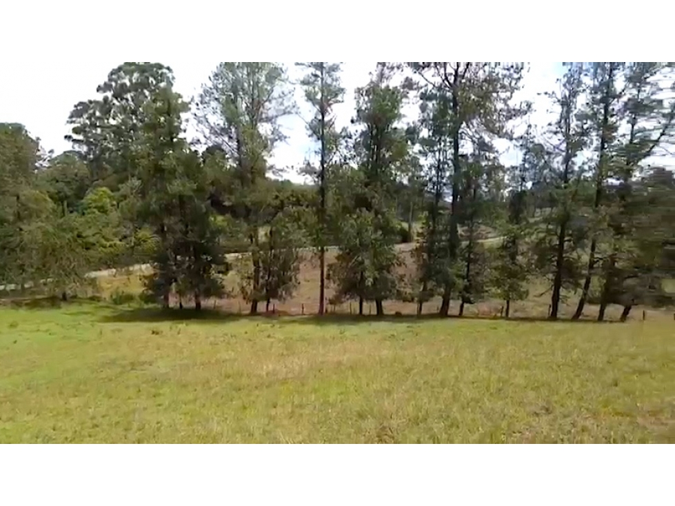 Venta Lote Llanogrande con vista panorámica y alta valorización — foto 6