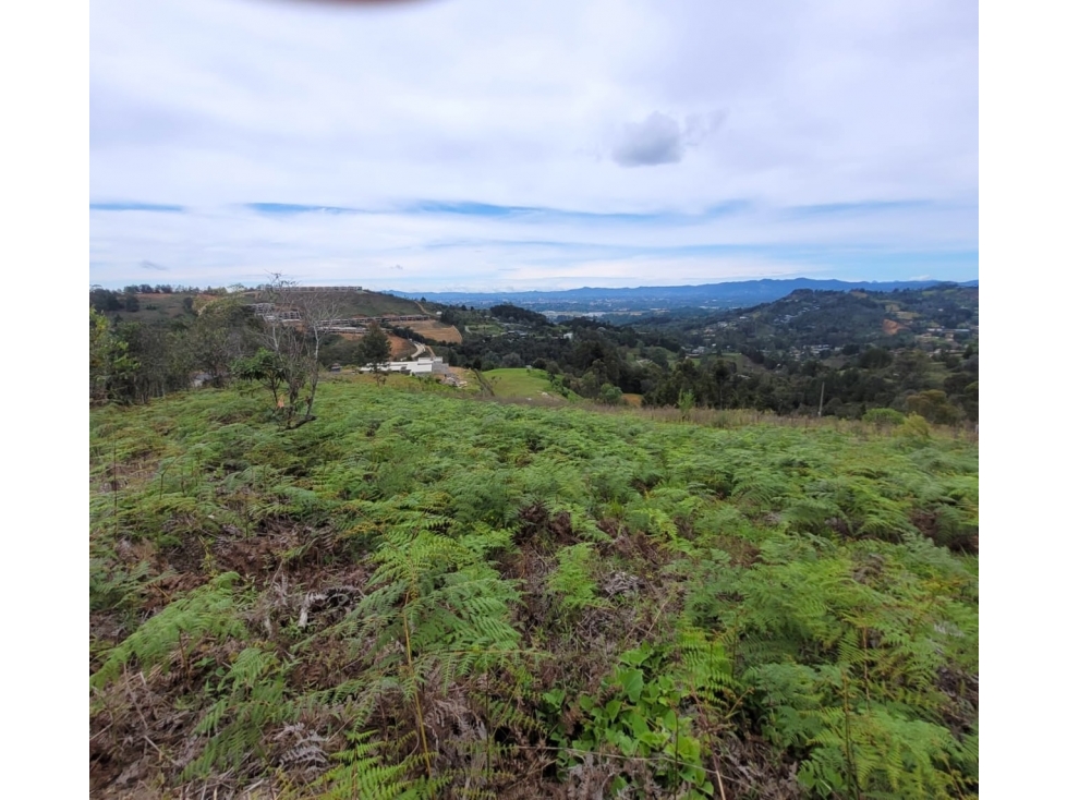 Venta Lote Campestre Sajonia cercano al Aeropuerto JMC — foto 5