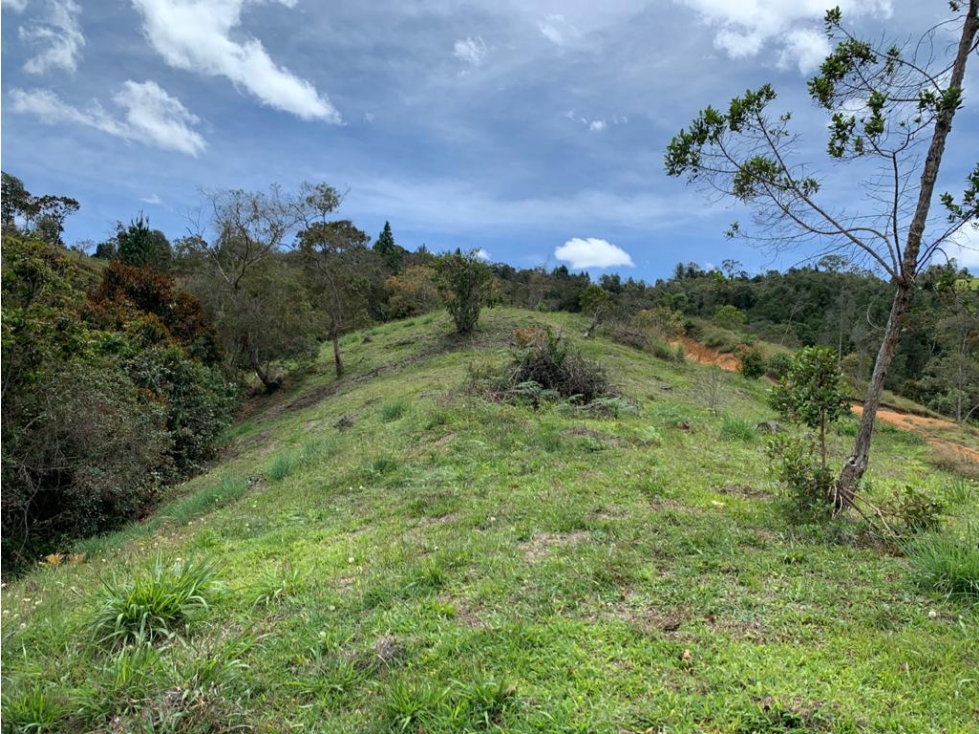 Venta Lote cerca Autopista Guarne en PARCELACIÓN LE CIEL — foto 4
