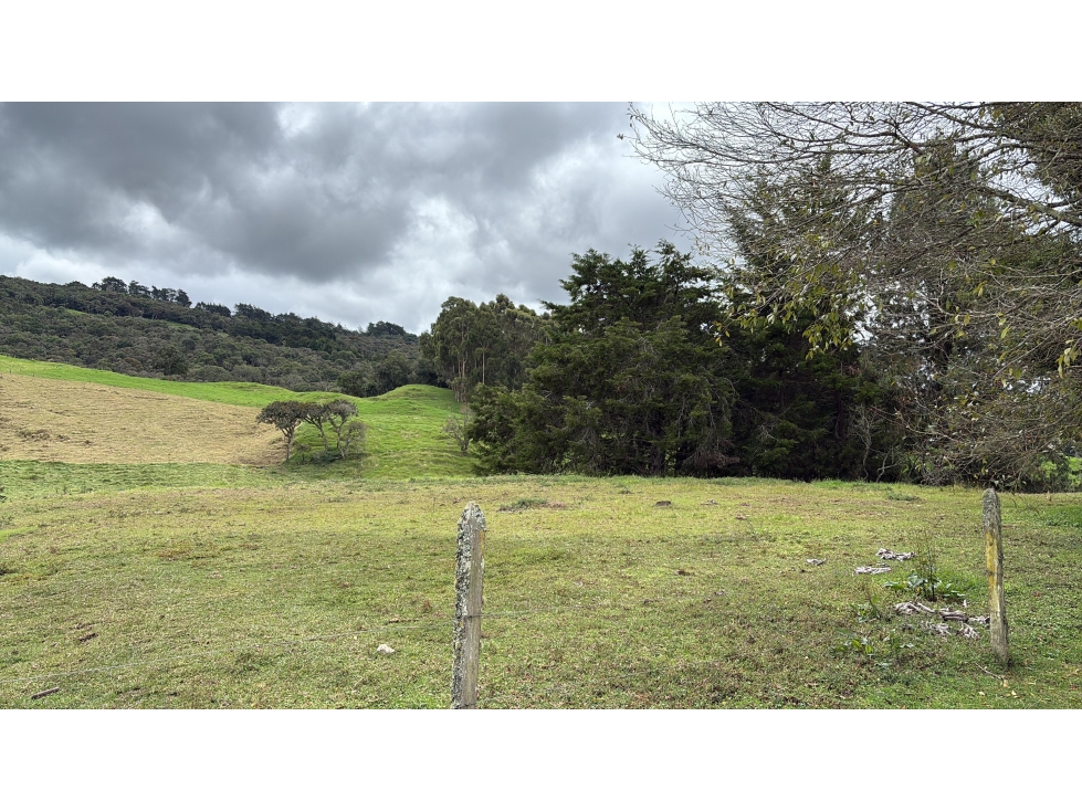 Venta Lote + Caballeriza en Parcelación ENCENILLOS Alto De Las Palmas — foto 3