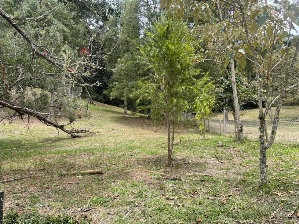 Venta Lote El Retiro vía La Ceja en Parcelación Montesereno — foto 3