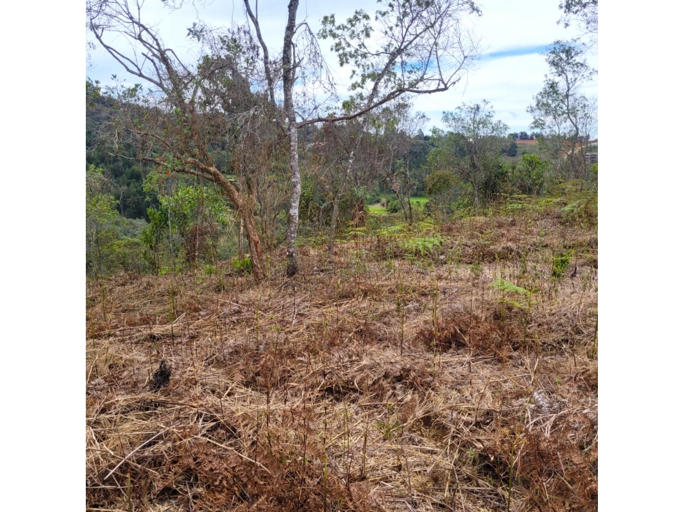Venta Lote Campestre Sajonia cercano al Aeropuerto JMC — foto 6