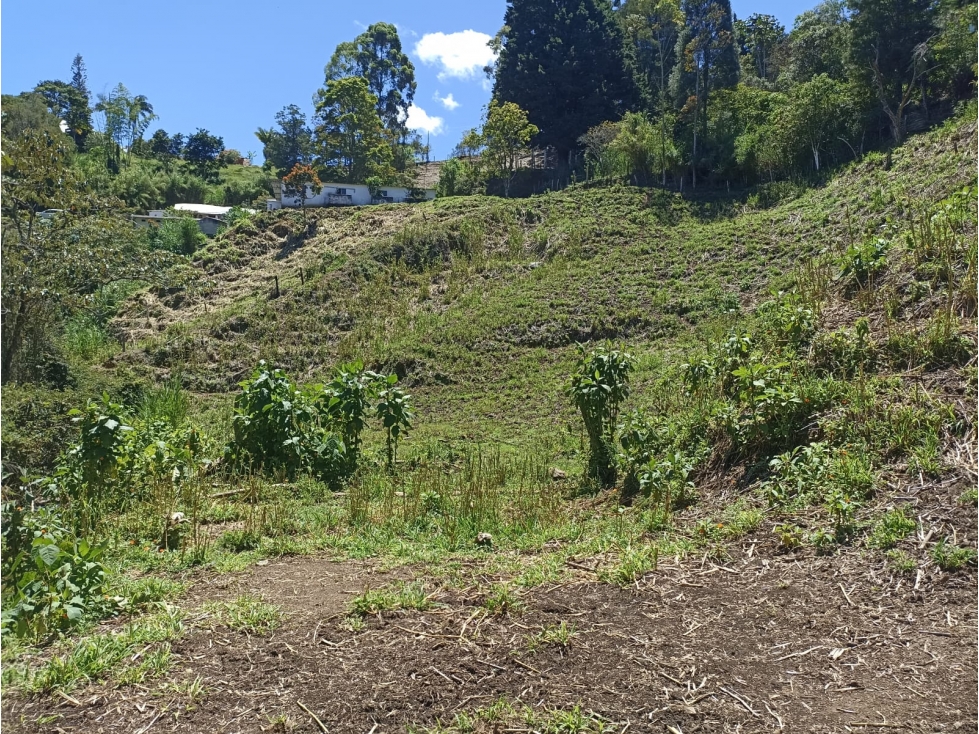 Venta Finca Productiva en Guarne con 3 lotes y quebrada natural — foto 2