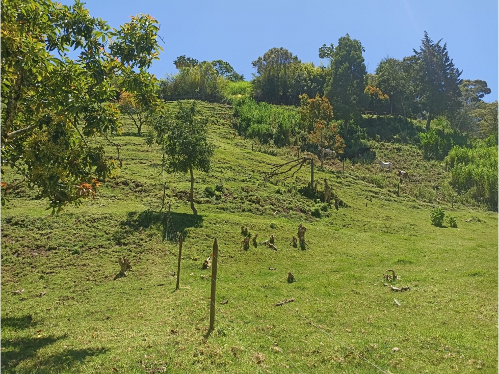 Venta Finca Productiva con Potencial de Desarrollo Guarne, Antioquia
