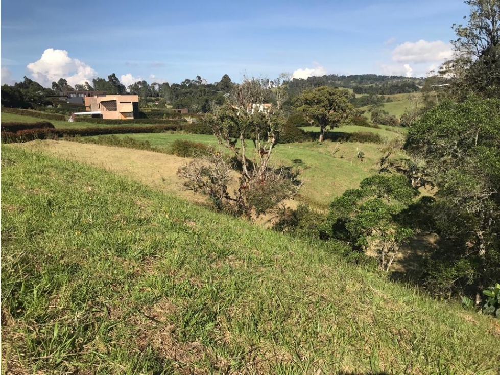 Venta Lote Alto de las Palmas en BALMORAL Unidad Completa — foto 2