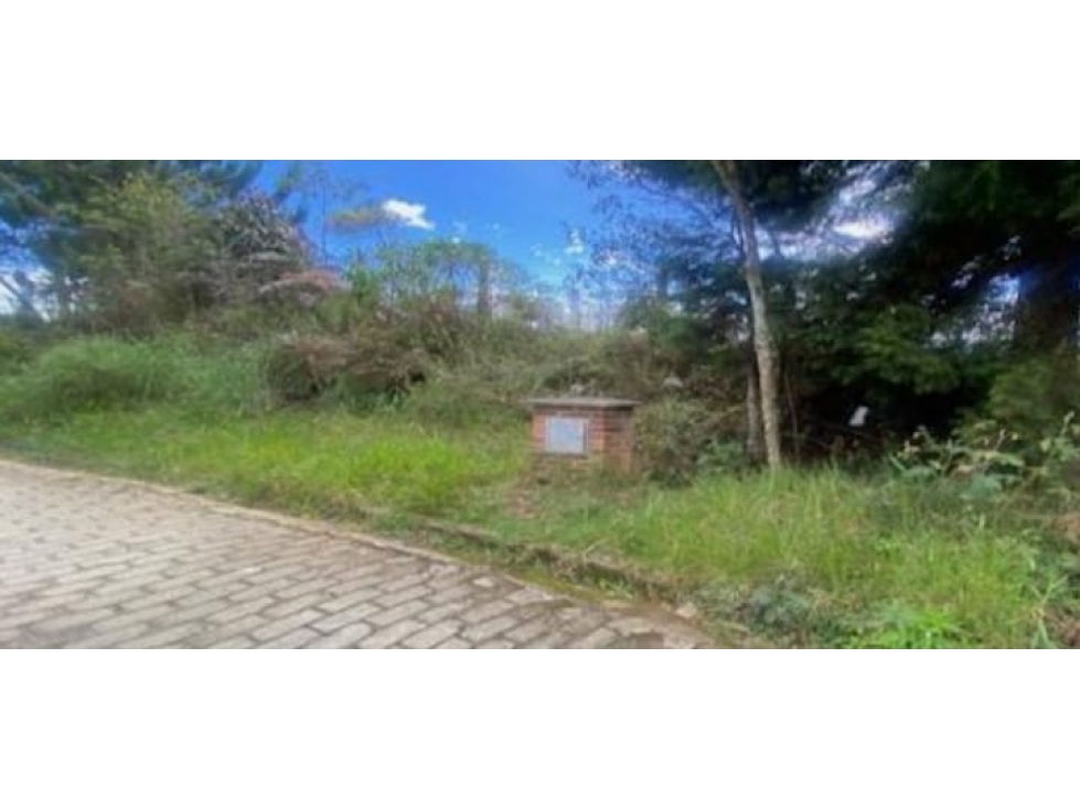 Venta Lote Guarne USO MIXTO con acceso sobre Autopista. MULTIFUNCIONAL — foto 4