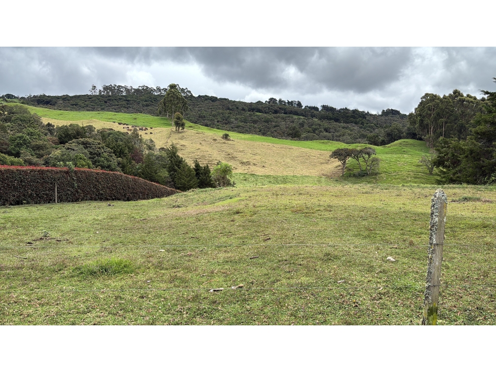 Venta Lote + Caballeriza en Parcelación ENCENILLOS Alto De Las Palmas — foto 2