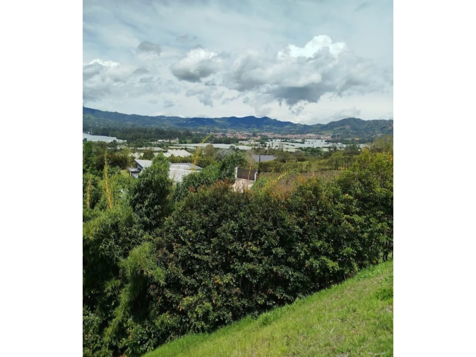 Venta Lote Parcelación MONTEMADERO Oportunidad Via La Ceja San Antonio — foto 5