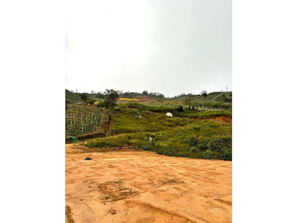 Venta Finca De Producción y Avícola en Granada Antioquia 27 Hectáreas - 5