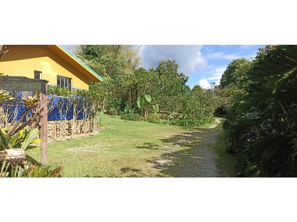 Venta Finca en Parcelación El Retiro FIZEBAD con Casa de Huéspedes — foto 6