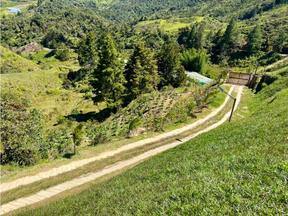 Venta Lote cerca Guatapé precio oportunidad y acceso pavimentado — foto 4