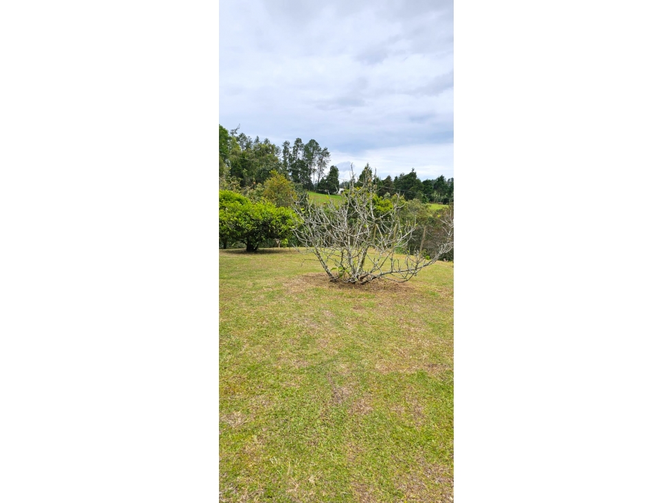 VENTA Finca Guarne cerca Parque Arví ¡NATURALEZA pura! — foto 4