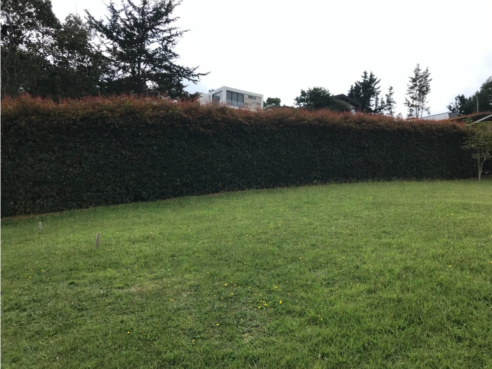 Venta Lote Alto de Las Palmas detras de Lemon en Parcelación — foto 2