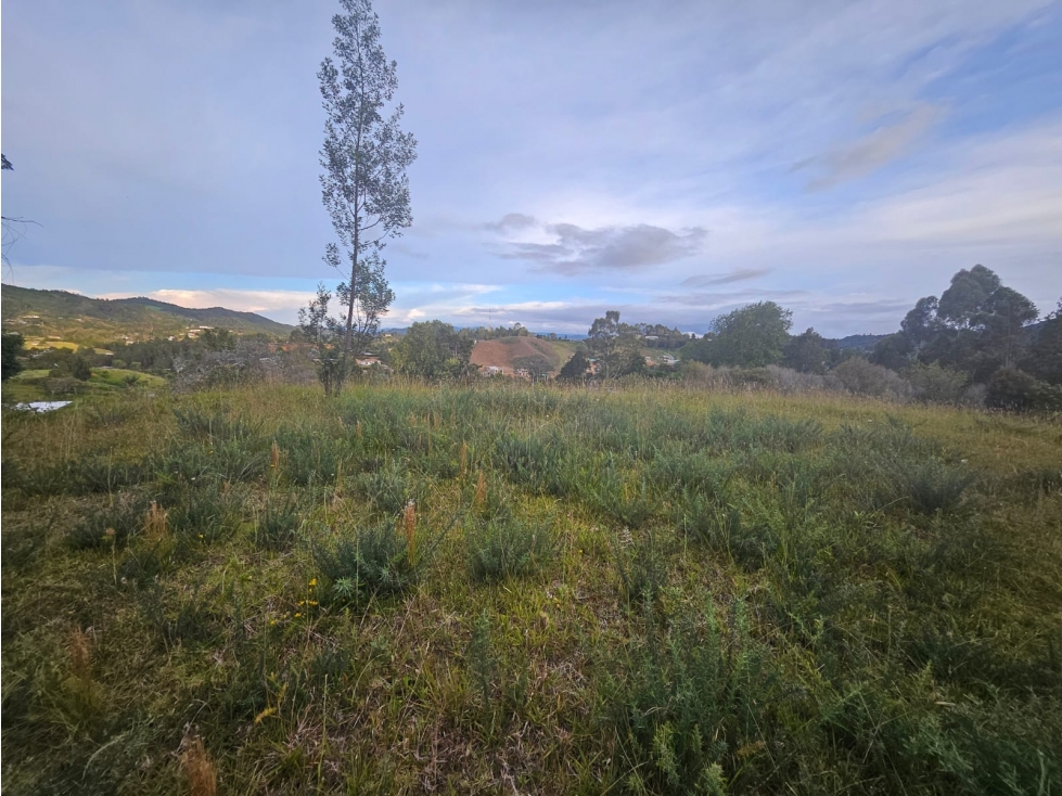 Venta lote exclusivo con opción de licencia Alto de Las Palmas — foto 4