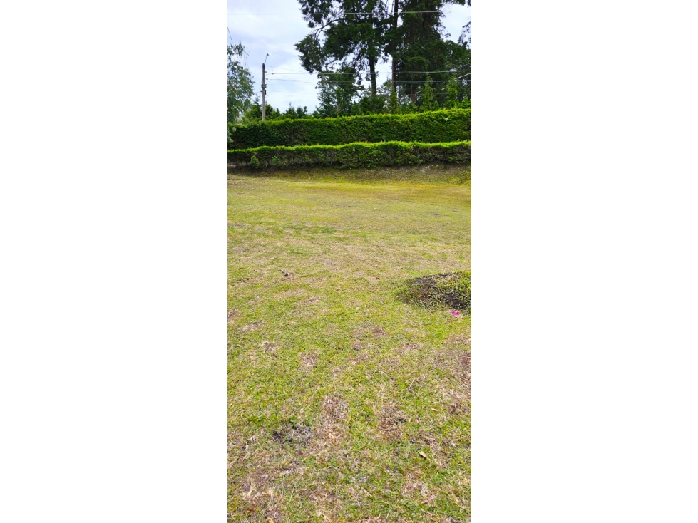 VENTA Finca Guarne cerca Parque Arví ¡NATURALEZA pura! — foto 5