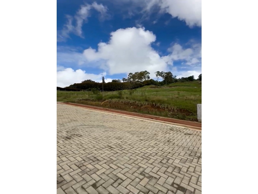 VENTA Lote EXCLUSIVO Alto De Las Palmas al fondo de La Acuarela — foto 6