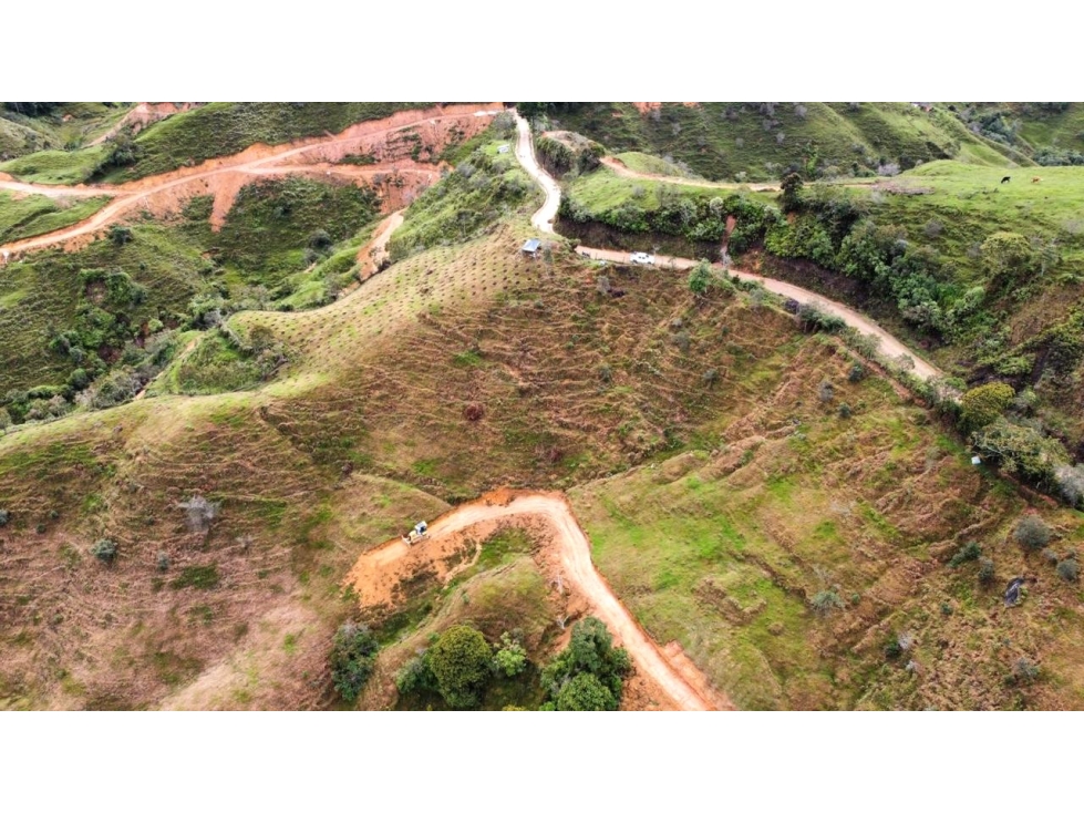 Venta Finca De Producción y Avícola en Granada Antioquia 27 Hectáreas - 4