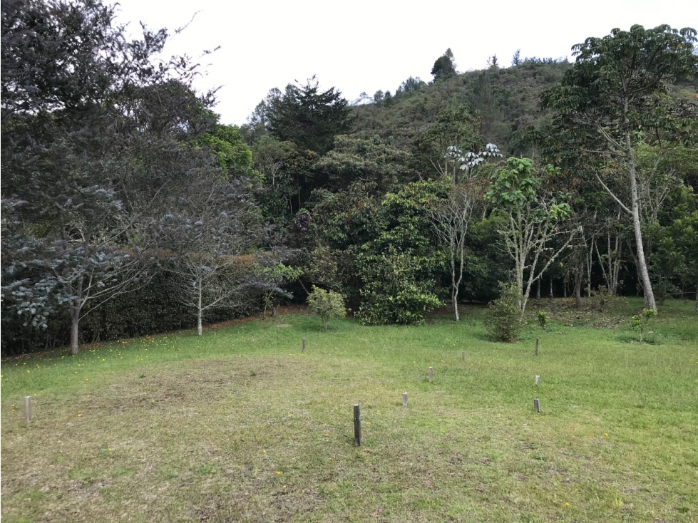 Venta Lote Alto de Las Palmas detras de Lemon en Parcelación — foto 5