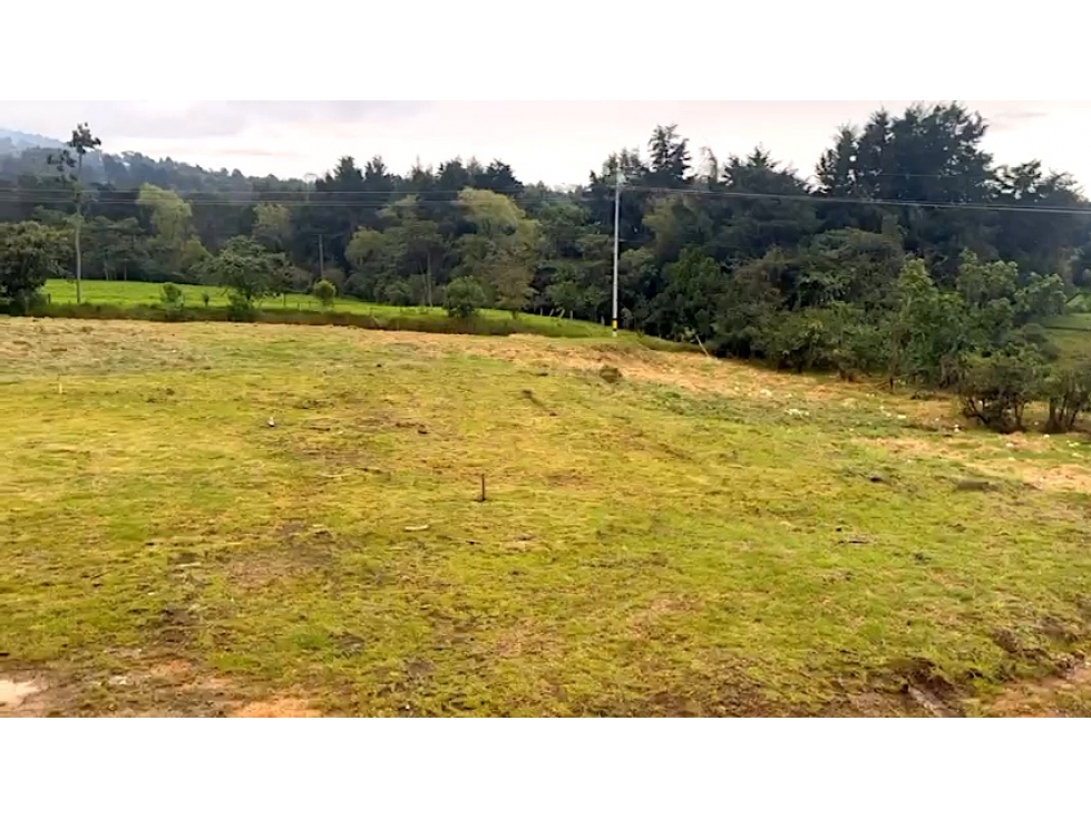 Venta Lote Alto de las Palmas en parcelación privada