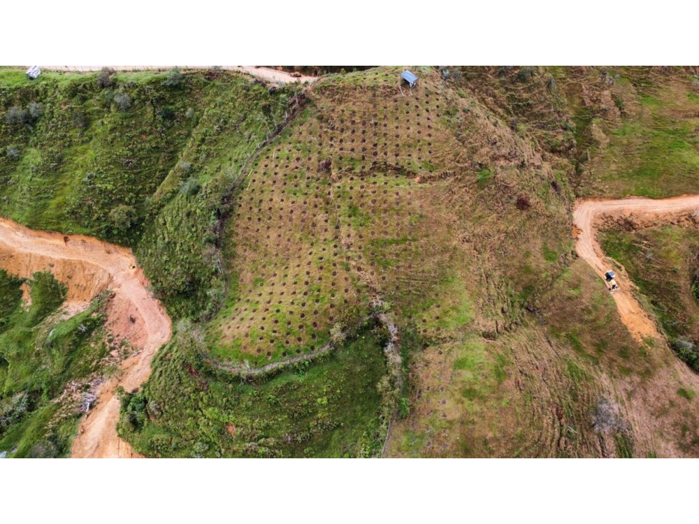 Venta Finca De Producción y Avícola en Granada Antioquia 27 Hectáreas - 3