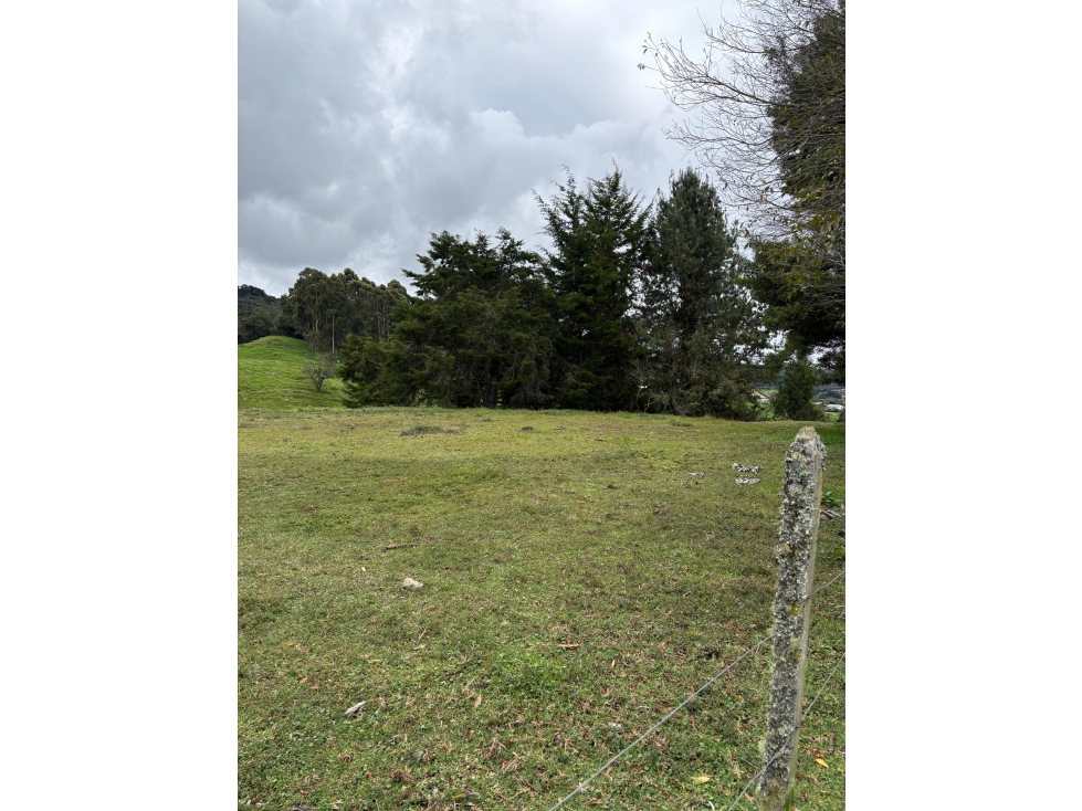 Venta Lote + Caballeriza en Parcelación ENCENILLOS Alto De Las Palmas — foto 4