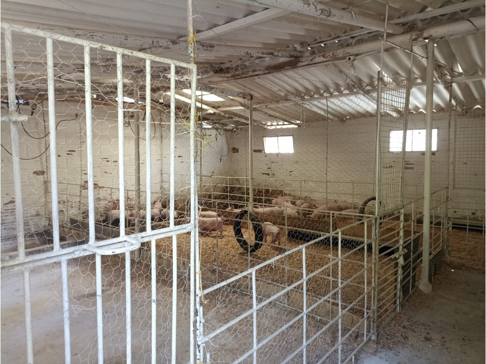 Venta Finca Productiva en Guarne con 3 lotes y quebrada natural — foto 3