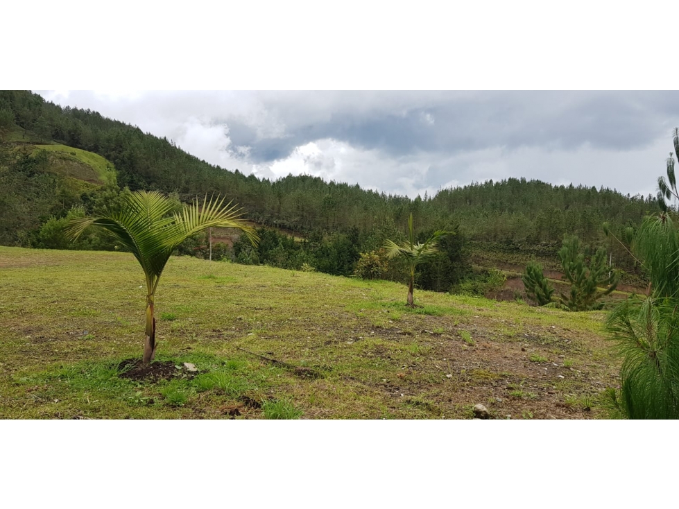 Venta lote El Retiro cerca al Pueblo con Vista Panorámica y Quebrada — foto 5