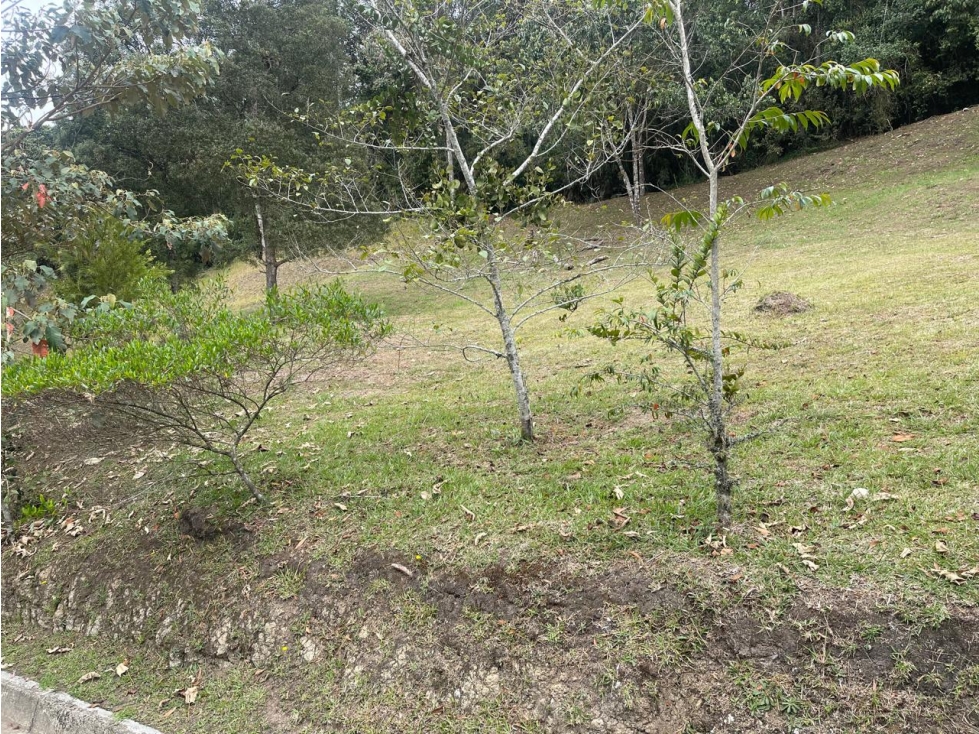 Venta Lote El Retiro vía La Ceja en Parcelación Montesereno — foto 4