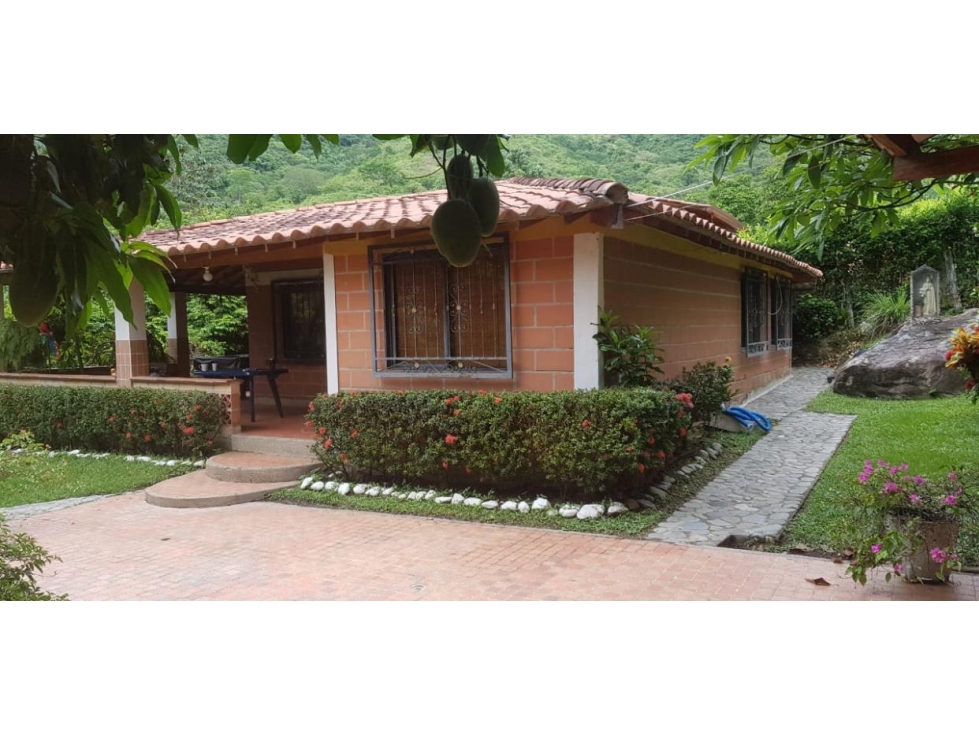 Venta Finca independiente en Sopetrán a 5 minutos del pueblo — foto 4