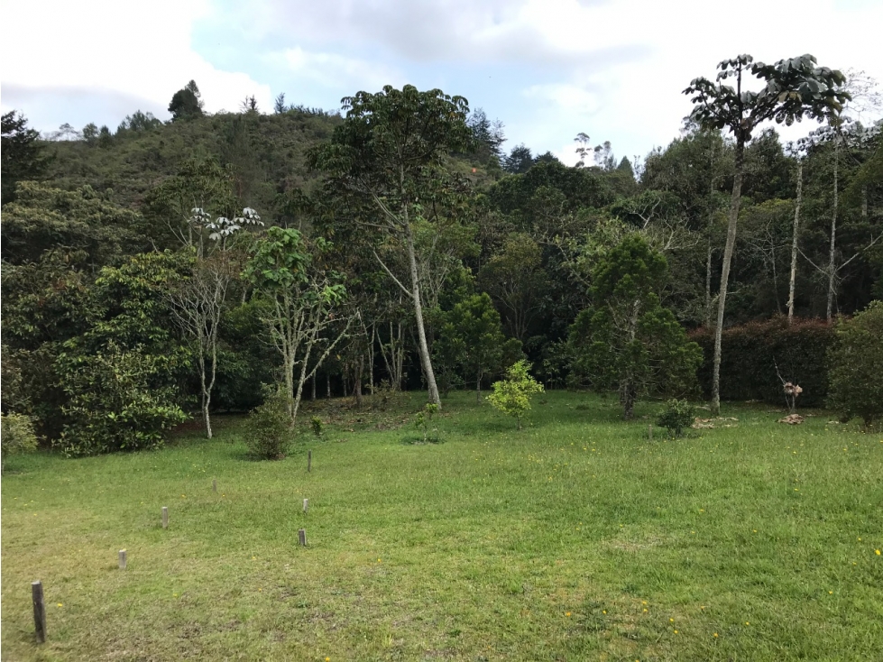 Venta Lote Alto de Las Palmas detras de Lemon en Parcelación — foto 3